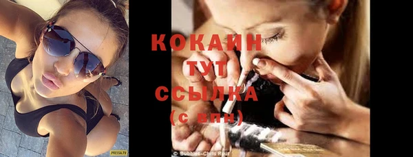 гашик Тихвин