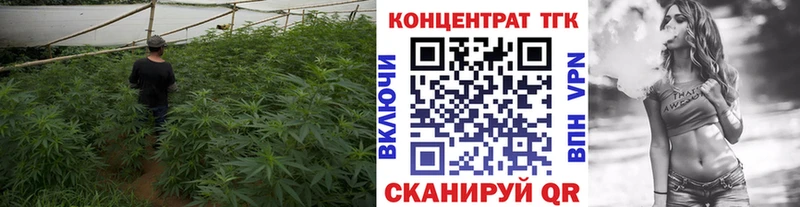 Купить  Циолковский  Дистиллят ТГК гашишное масло 